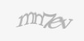 Säkerhetskod