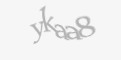 Säkerhetskod