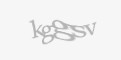 Säkerhetskod