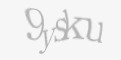Säkerhetskod