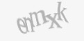 Säkerhetskod
