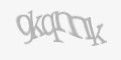 Säkerhetskod