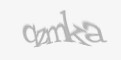 Säkerhetskod