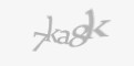 Säkerhetskod