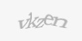 Säkerhetskod