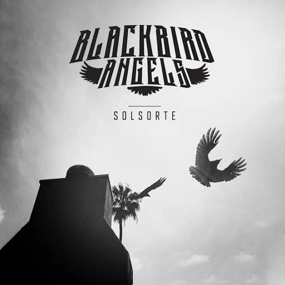 blackbirdangels solsorte